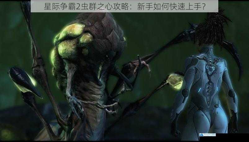星际争霸2虫群之心攻略:新手如何快速上手?