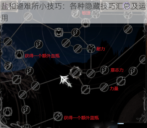 盐和避难所小技巧:各种隐藏技巧汇总及运用