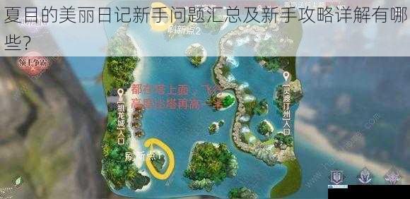 夏目的美丽日记新手问题汇总及新手攻略详解有哪些?