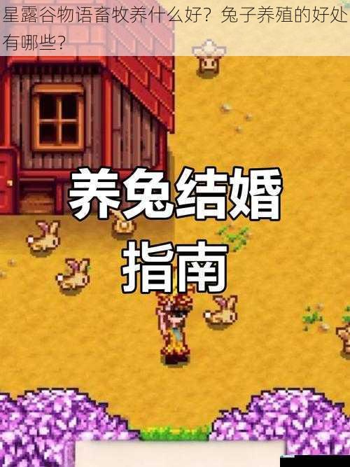星露谷物语畜牧养什么好?兔子养殖的好处有哪些?
