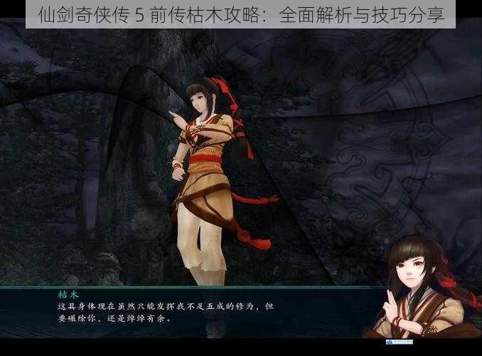仙剑奇侠传 5 前传枯木攻略:全面解析与技巧分享