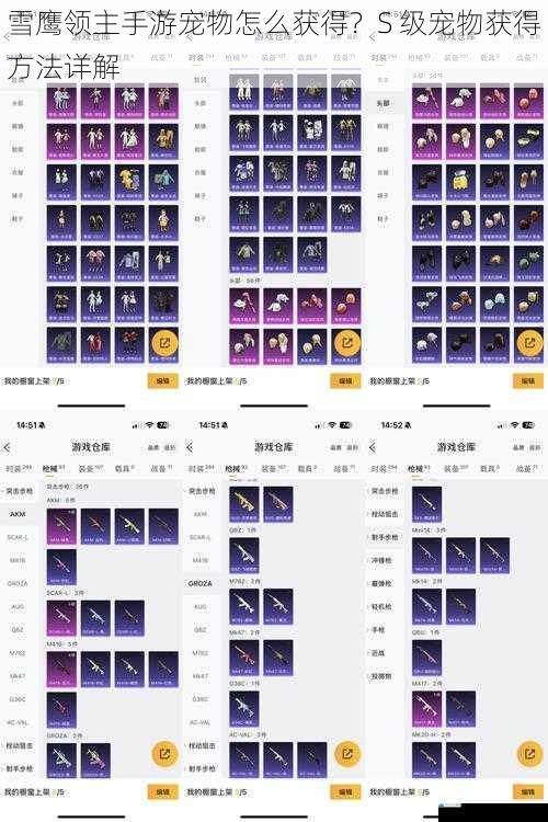 雪鹰领主手游宠物怎么获得?S 级宠物获得方法详解