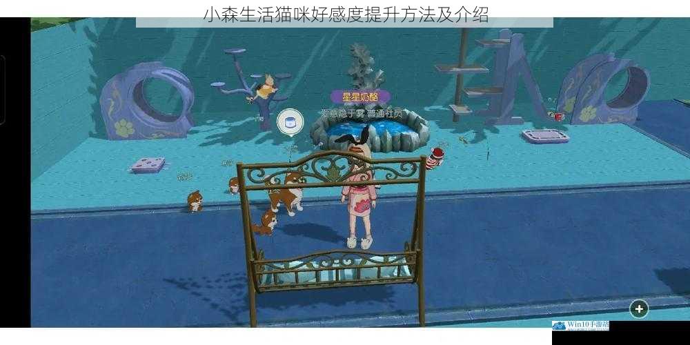 小森生活猫咪好感度提升方法及介绍