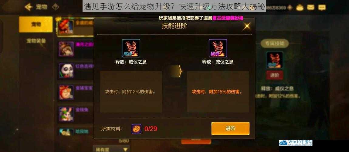 遇见手游怎么给宠物升级?快速升级方法攻略大揭秘