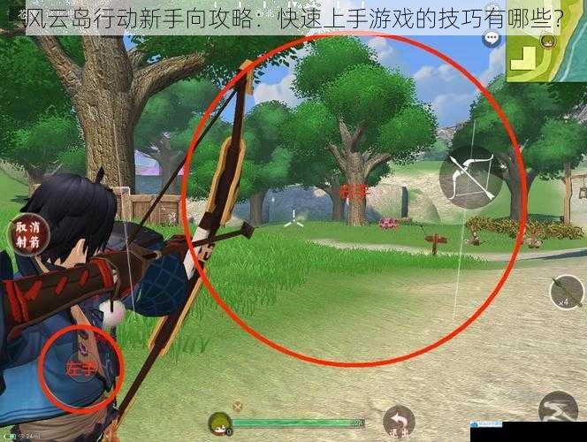 风云岛行动新手向攻略:快速上手游戏的技巧有哪些?