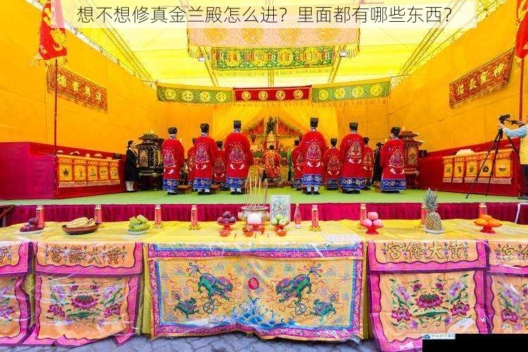 想不想修真金兰殿怎么进?里面都有哪些东西?