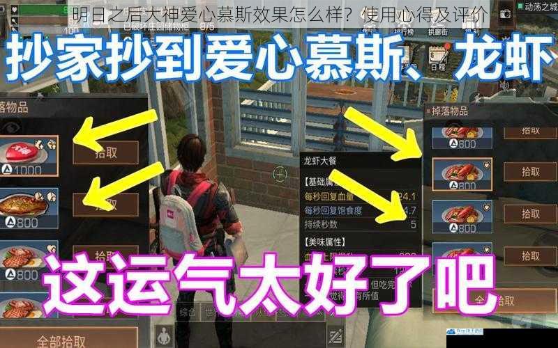 明日之后大神爱心慕斯效果怎么样?使用心得及评价