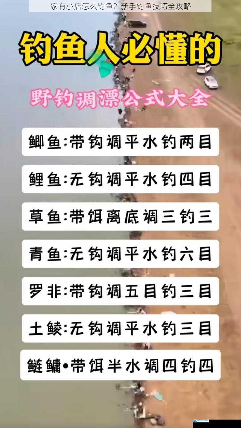 家有小店怎么钓鱼?新手钓鱼技巧全攻略