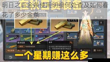 明日之后金条使用明细何处查及如何看花了多少金条