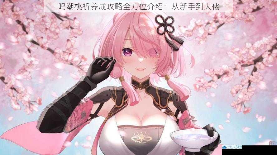 鸣潮桃祈养成攻略全方位介绍:从新手到大佬