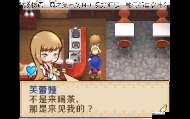 牧场物语:风之集市女 NPC 爱好汇总:她们都喜欢什么?