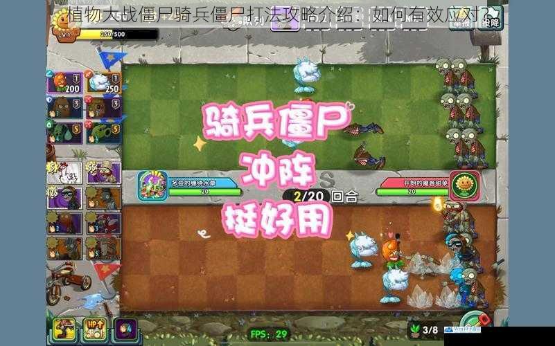 植物大战僵尸骑兵僵尸打法攻略介绍:如何有效应对?