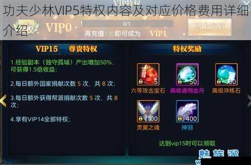功夫少林VIP5特权内容及对应价格费用详细介绍