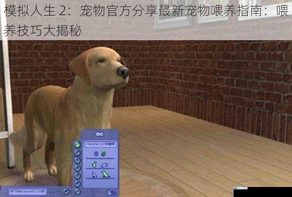 模拟人生 2:宠物官方分享最新宠物喂养指南:喂养技巧大揭秘