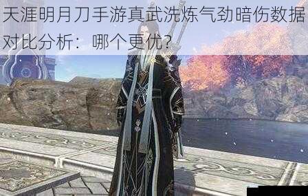 天涯明月刀手游真武洗炼气劲暗伤数据对比分析:哪个更优?