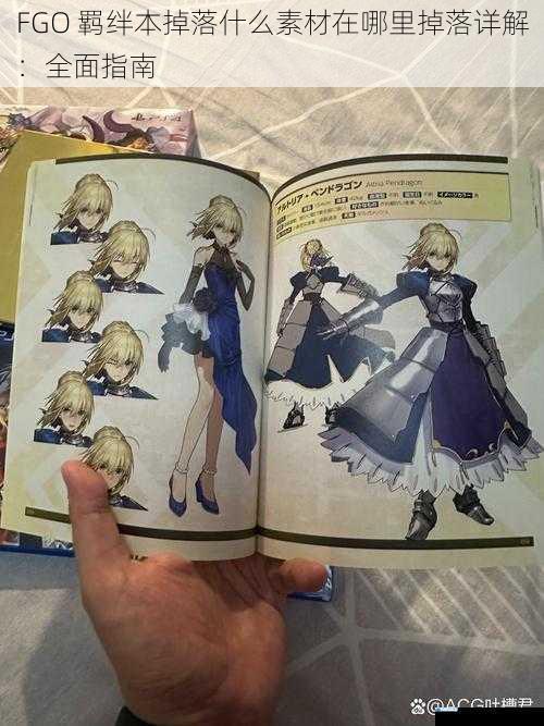 FGO 羁绊本掉落什么素材在哪里掉落详解:全面指南