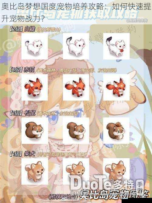 奥比岛梦想国度宠物培养攻略:如何快速提升宠物战力?