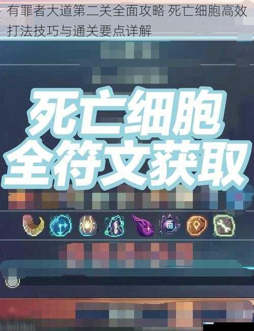 有罪者大道第二关全面攻略 死亡细胞高效打法技巧与通关要点详解