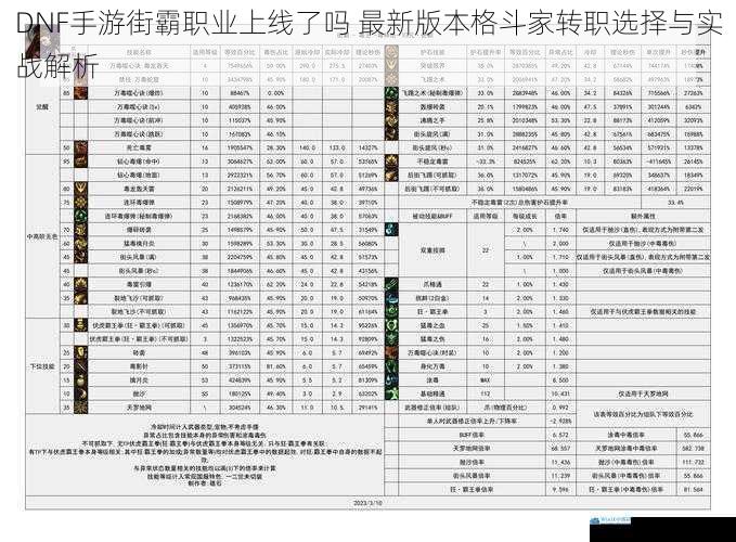 DNF手游街霸职业上线了吗 最新版本格斗家转职选择与实战解析
