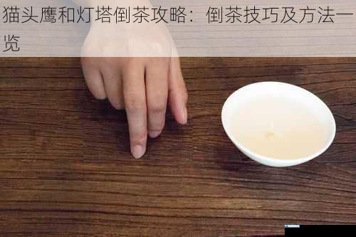 猫头鹰和灯塔倒茶攻略:倒茶技巧及方法一览