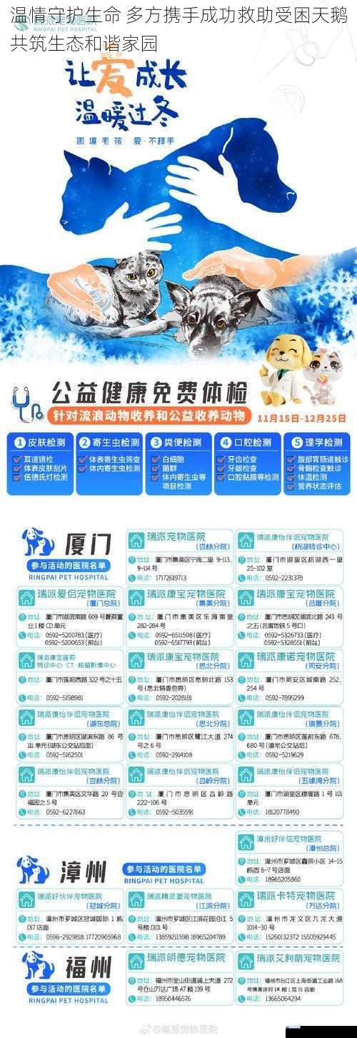 温情守护生命 多方携手成功救助受困天鹅共筑生态和谐家园