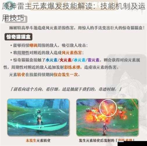 原神雷主元素爆发技能解读:技能机制及运用技巧