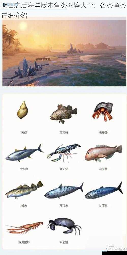 明日之后海洋版本鱼类图鉴大全:各类鱼类详细介绍