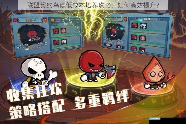 联盟契约鸟德低成本培养攻略:如何高效提升?
