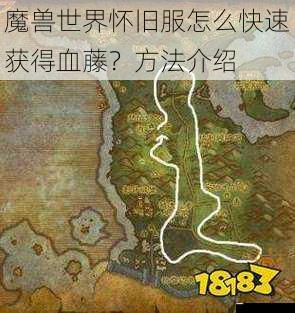 魔兽世界怀旧服怎么快速获得血藤?方法介绍