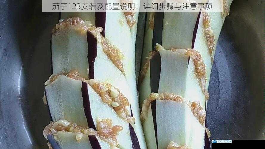 茄子123安装及配置说明:详细步骤与注意事项