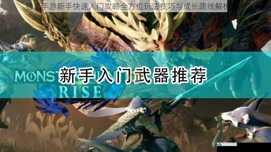猎人手游新手快速入门攻略全方位玩法技巧与成长路线解析指南