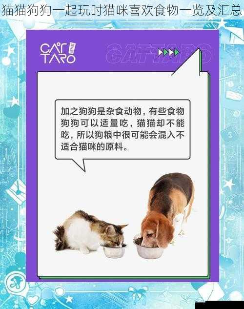 猫猫狗狗一起玩时猫咪喜欢食物一览及汇总