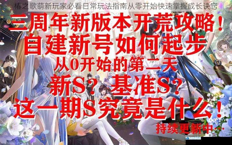椿之歌萌新玩家必看日常玩法指南从零开始快速掌握成长诀窍
