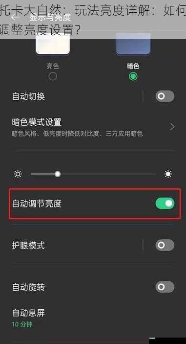 托卡大自然:玩法亮度详解:如何调整亮度设置?