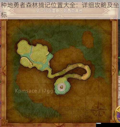 种地勇者森林摘记位置大全:详细攻略及坐标