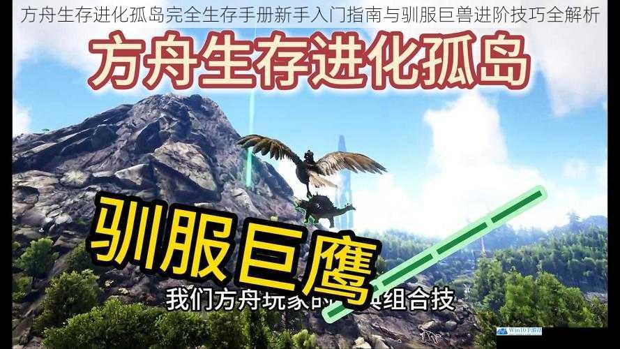 方舟生存进化孤岛完全生存手册新手入门指南与驯服巨兽进阶技巧全解析