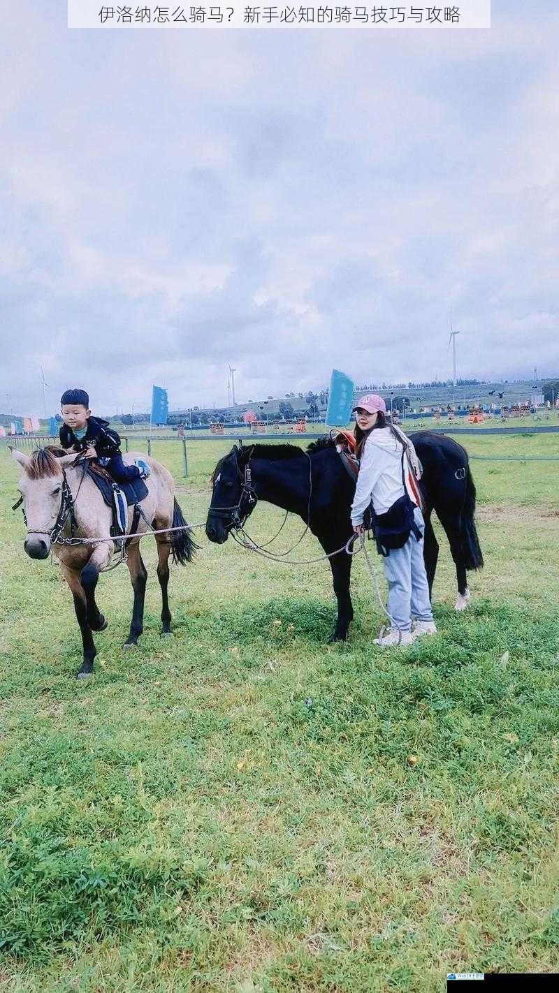 伊洛纳怎么骑马?新手必知的骑马技巧与攻略