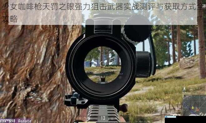 少女咖啡枪天罚之眼强力狙击武器实战测评与获取方式全攻略
