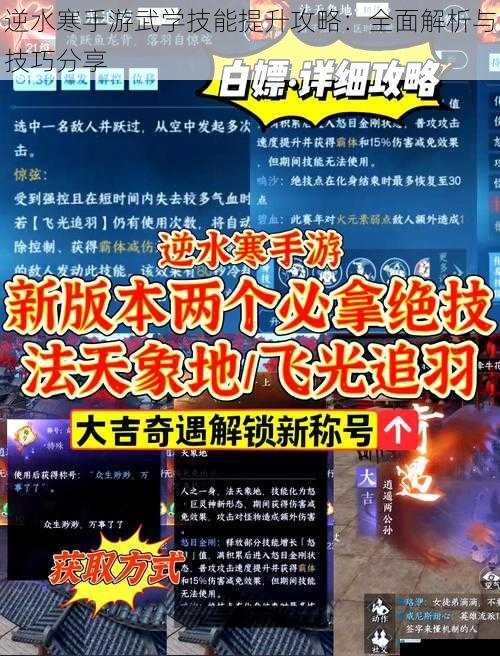 逆水寒手游武学技能提升攻略:全面解析与技巧分享