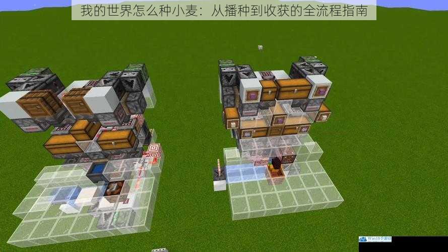 我的世界怎么种小麦:从播种到收获的全流程指南