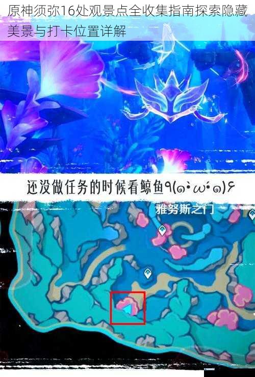 原神须弥16处观景点全收集指南探索隐藏美景与打卡位置详解