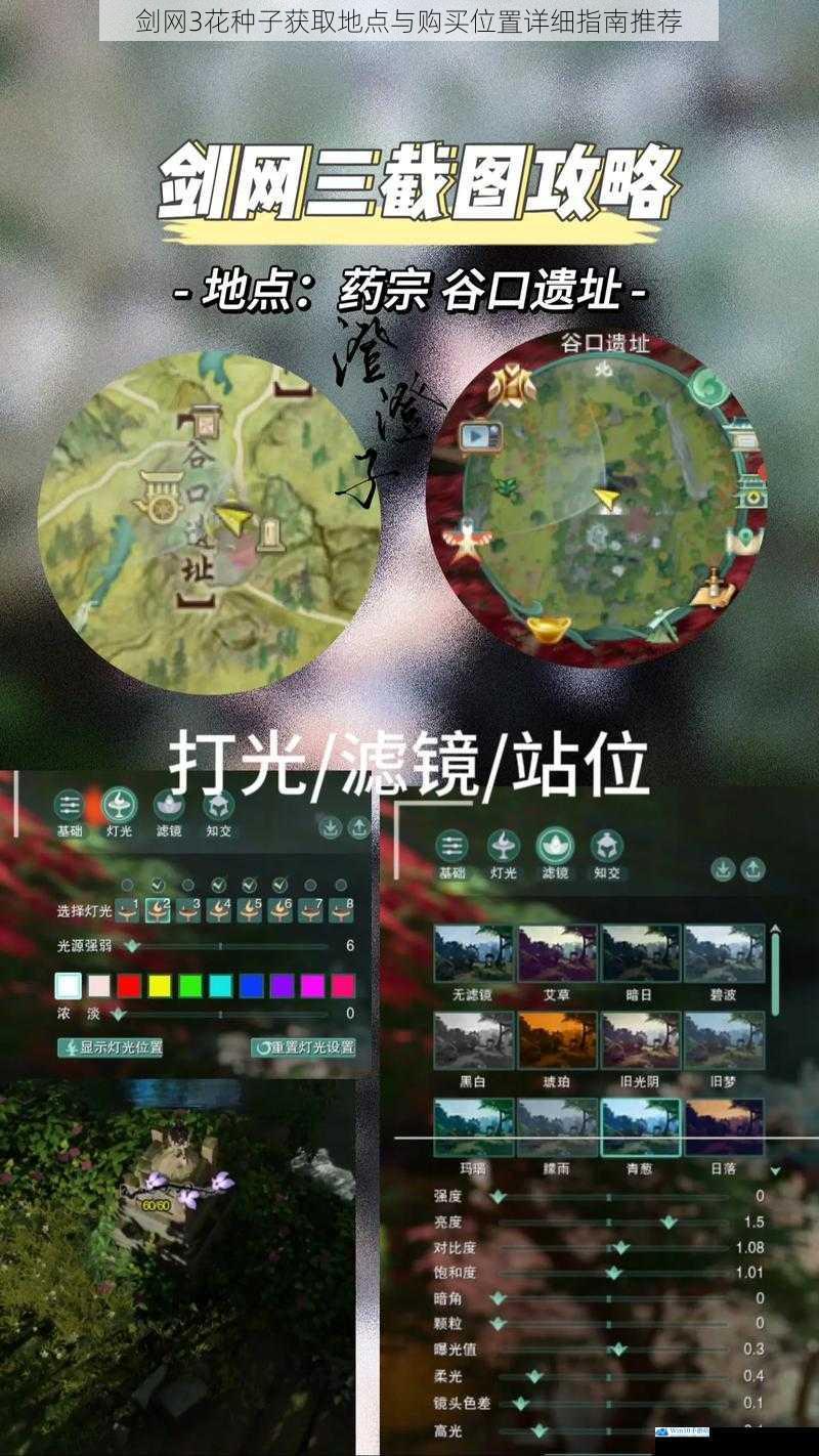 剑网3花种子获取地点与购买位置详细指南推荐