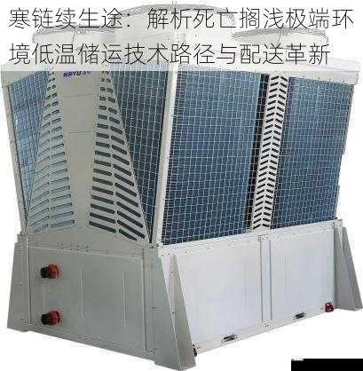 寒链续生途:解析死亡搁浅极端环境低温储运技术路径与配送革新