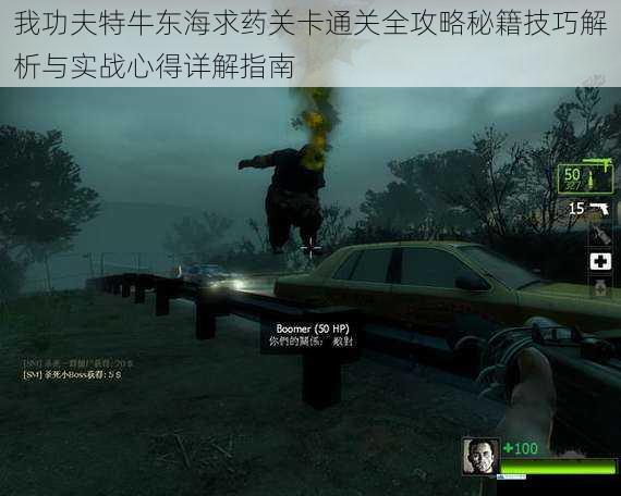 我功夫特牛东海求药关卡通关全攻略秘籍技巧解析与实战心得详解指南