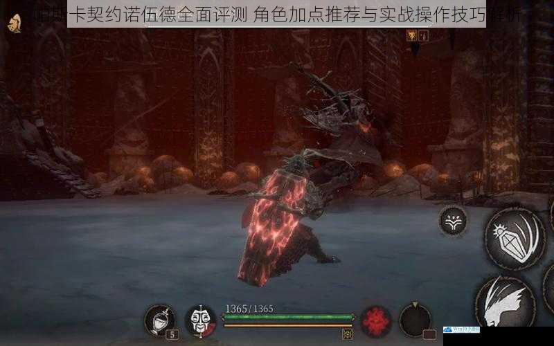 帕斯卡契约诺伍德全面评测 角色加点推荐与实战操作技巧解析