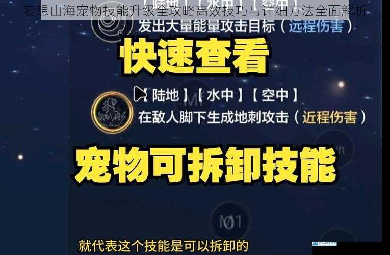 妄想山海宠物技能升级全攻略高效技巧与详细方法全面解析
