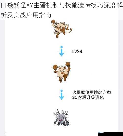 口袋妖怪XY生蛋机制与技能遗传技巧深度解析及实战应用指南