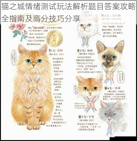 猫之城情绪测试玩法解析题目答案攻略全指南及高分技巧分享