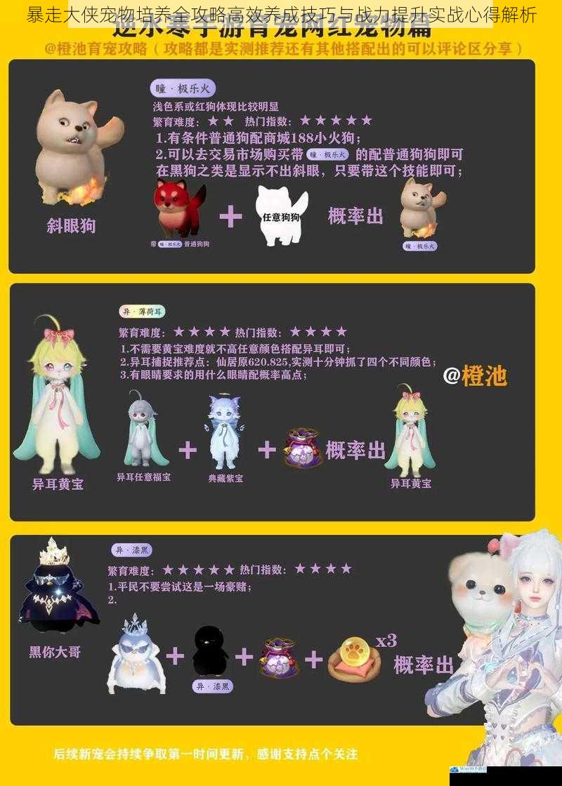 暴走大侠宠物培养全攻略高效养成技巧与战力提升实战心得解析