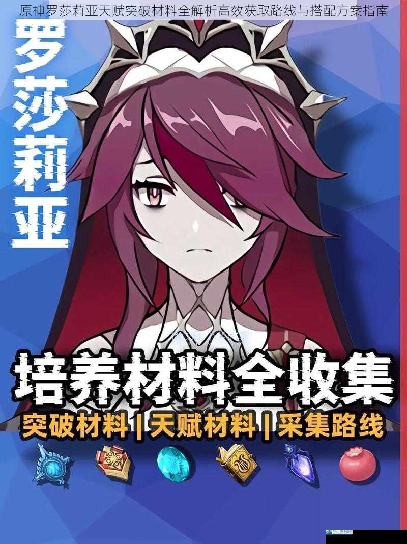 原神罗莎莉亚天赋突破材料全解析高效获取路线与搭配方案指南